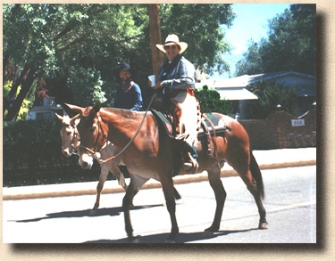 Patrick, Ima Mary and Hank in the Bishop Mule Days Parade
